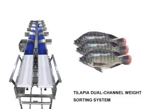 Wholesale Waterproof 12 Grades Multihweight Sorter Machine For Fresh Food Fish / Sausage / Yolk from china suppliers