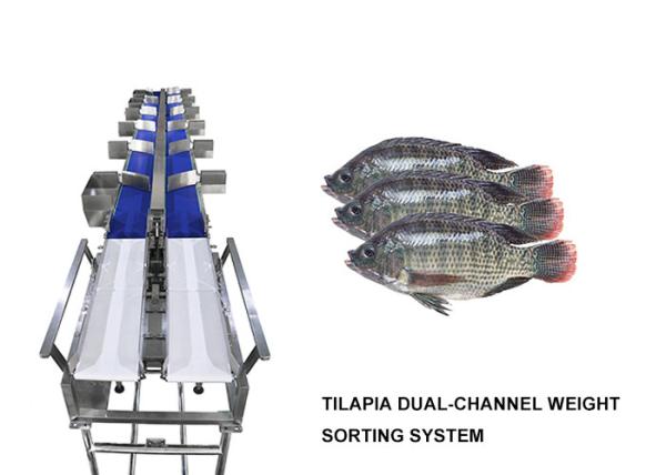Waterproof 12 Grades Multihweight Sorter Machine For Fresh Food Fish / Sausage /