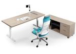 Height Adjustable Training Room Tables , Training Table Furniture 1800mm Length