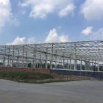 Galvanized Or Painted Steel Structural Buildings Durable Strong