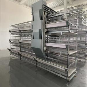 Wholesale 65*62.5*50 Cm Size Battery Chicken Cage Farming 380V For Rearing House from china suppliers