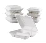 Biodegradable Sugarcane Rectangle Disposable Lunch Box For Take Away Food