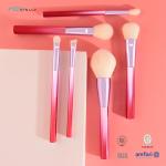 Aluminum Ferrule Face Makeup Brush Set 6PCS Plastic Handle Soft Synthetic Hair