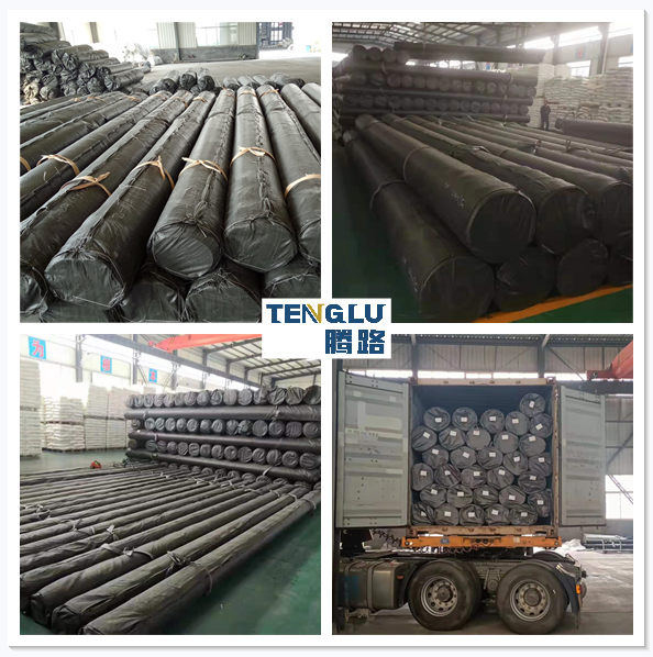 Industrial Design 0.2-3mm Blue Geomembrane Swimming Pool Liner for Onsite Inspection
