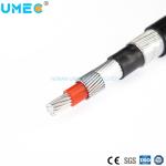 Insulated Service Entrance Cable 2/3cores 2X8 2X10 3X6 3X8 AWG Concentric Cable