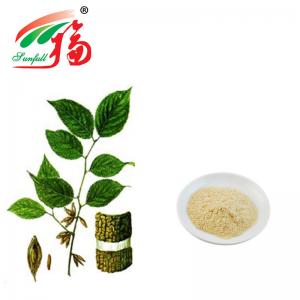 China Chlorogenic Acid Eucommia Ulmoides Supplement Natural Pure Herbal Extracts on sale