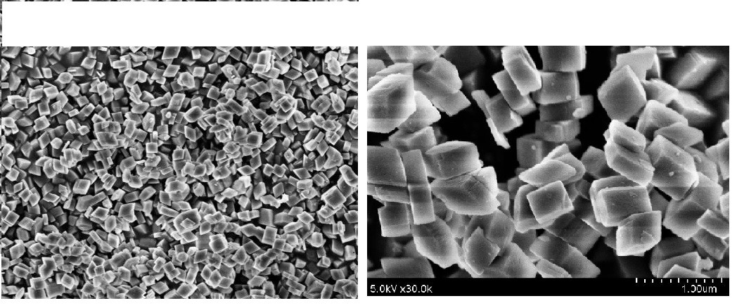 Large Pore Volume 0.7 Micron Boehmite Powder
