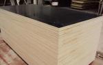 Melamine Glue BB/BB Black Film Coated Plywood , Soundproof Exterior Cedar