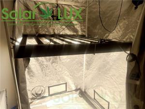 Wholesale RJ45 Led Plant Grow Lights from china suppliers