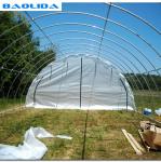 Galvanized Steel Frame Single Span PE Film Greenhouse For Flower Plant