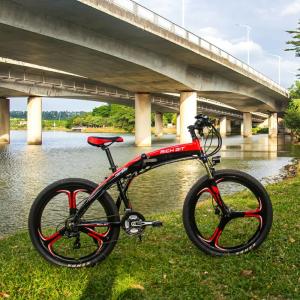 Wholesale Folding Lightweight Electric Bike Lunar Shape For Ladies 36v 250w 9.6ah from china suppliers