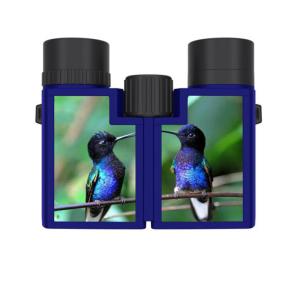 Wholesale Foreseen Binoculars kit for kids adults 8x22 for birdwatching hunting from china suppliers
