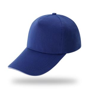 Wholesale 6 Panels 100% Cotton Sports Baseball Cap Custom Logo for Adults from china suppliers