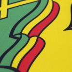 Ethiopian lion Knit Polyester Advertising Banner Flags