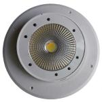 Outdoor PVC Battery Powered LED PAR Light 100W For Disco KTV Party Wedding Stage