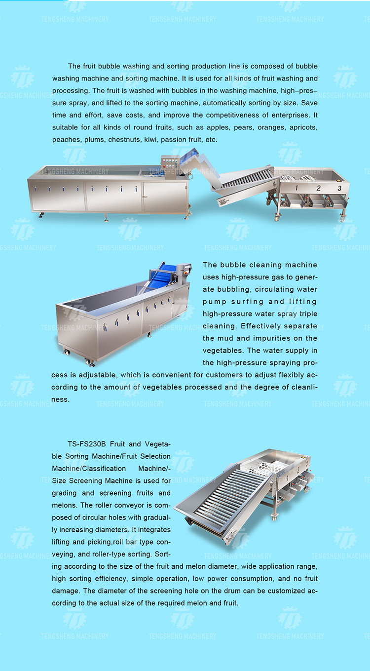 3KW 50HZ Fruit And Vegetable Processing Line Washing Sorting Machine