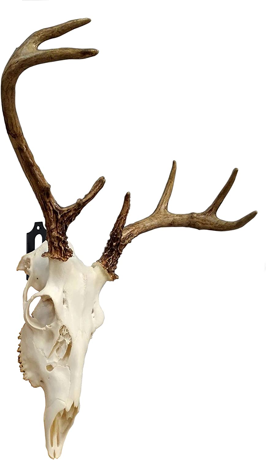 European Style Deer Hanger with Customized Thickness and Triangle Bracket Structure