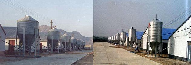 777m3 Bulk Material Cereal Silo Roll Forming Machine Customized Color