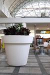Drainage Hole Hanging Fiberglass Planters For Indoor And Outdoor Decor