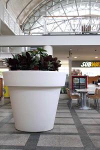 Wholesale Drainage Hole Hanging Fiberglass Planters For Indoor And Outdoor Decor from china suppliers