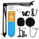Double Audio Port Metal USB D80 3mA Condenser Mics