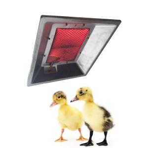 Buy cheap THD2606 Poultry Brooder Heater Chicken House Infrared Catalytic Gas Brooder from wholesalers