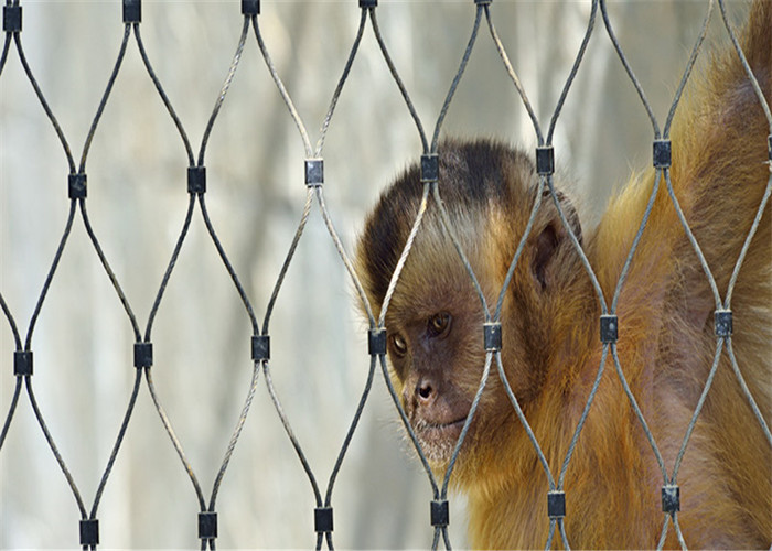 Flexible Zoo Wire Mesh With 3mm In 60mm Hole For Tiger Cage