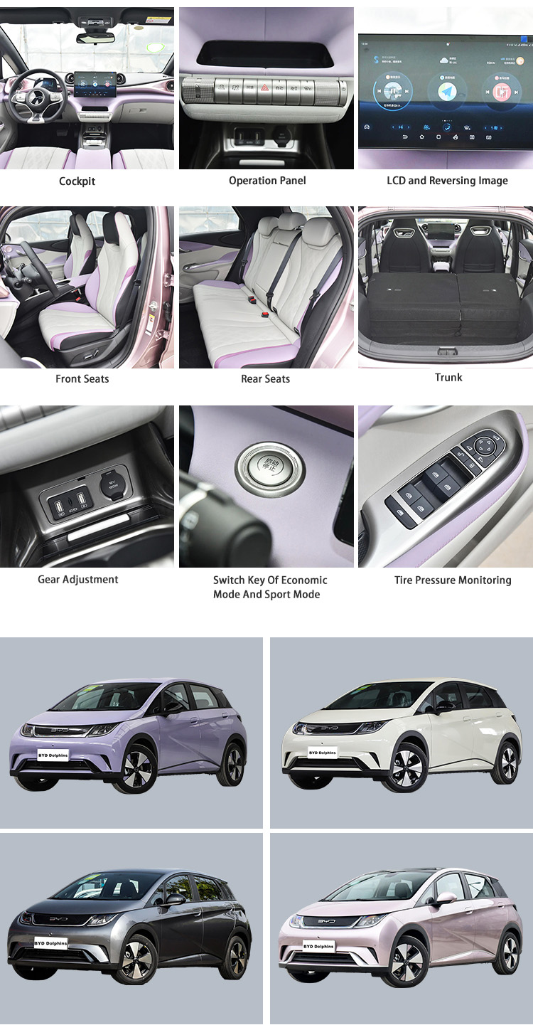 Compact Pure Electric EV Cars SUV BYD Dolphin New Energy Vehicles