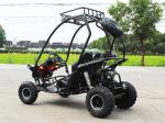 Air Cool Fully Auto CDI 125cc Adults Go Kart Buggy With Disc Brake