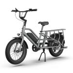 36V 13Ah Lithium Battery Electric Delivery Bike for Family 20inch Dual Battery