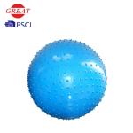 75cm Full Massage Anti Burst 200KG PVC Gym Ball