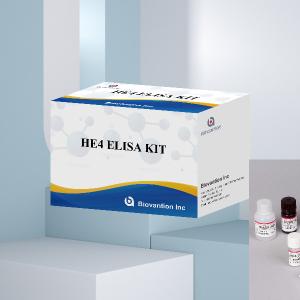 Wholesale Enzyme-Linked Kit Immunoassay HE4 Human Epididymis Protein 4 ELISA from china suppliers