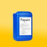2400000U/G Liquid Papain CAS 9001-73-4 White Powdery Substance Soluble In Water