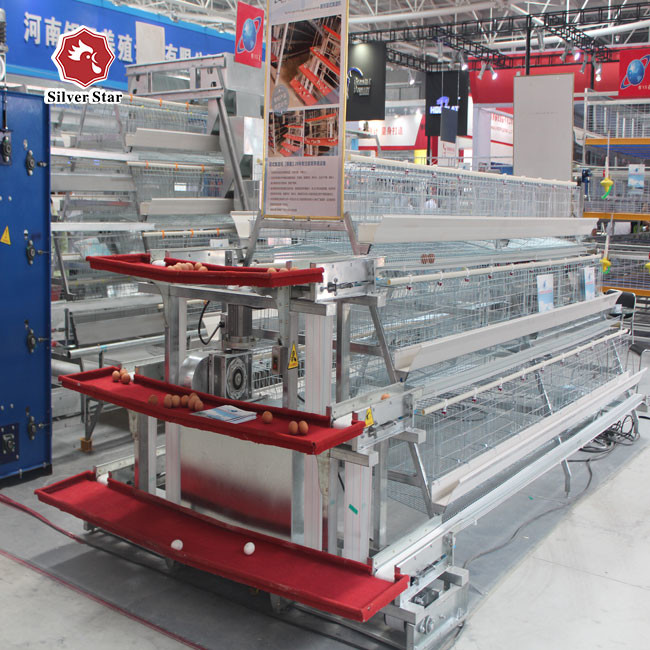 Hot Dipped Galvanized Battery System Of Poultry Farming 43*41 Cm