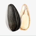 Amazon hot sale Wholesale best Quality China Manufacturer Sunflower seeds 363