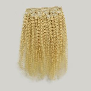 Wholesale Human Hair Extension With Swiss/French Lace New Clip Hair Band 613 from china suppliers