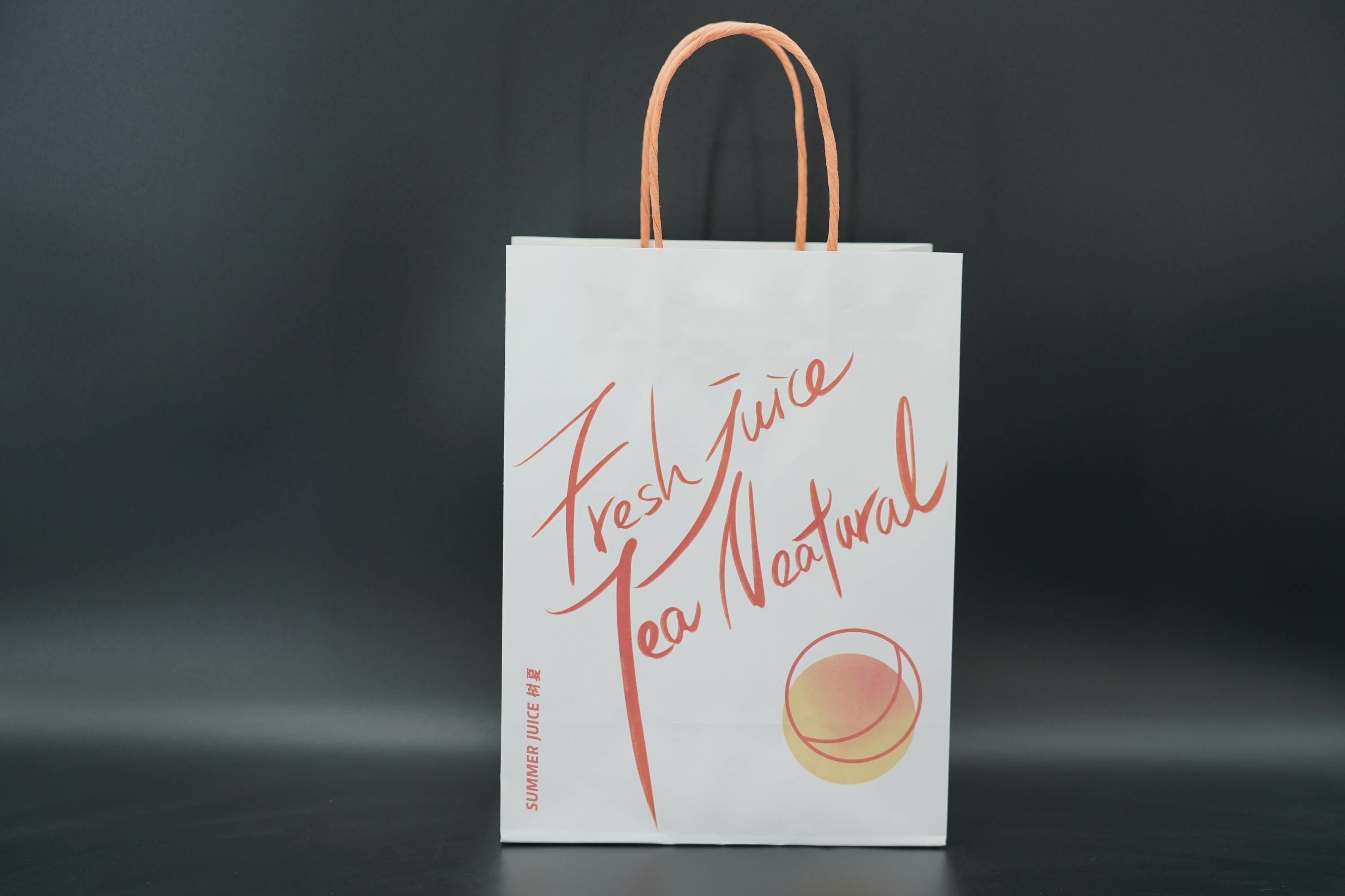 Industry Custom Printed Gift Bags sturdy Eco Friendly Kraft Food Bags