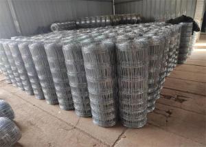 Wholesale 2.5mm Wire Dia Hot Dipped Galvanized Field Fence For Farm from china suppliers