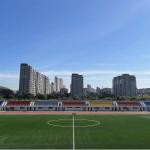 55mm 160 Stitches/M Football Artificial Turf High Performance UV Resistance