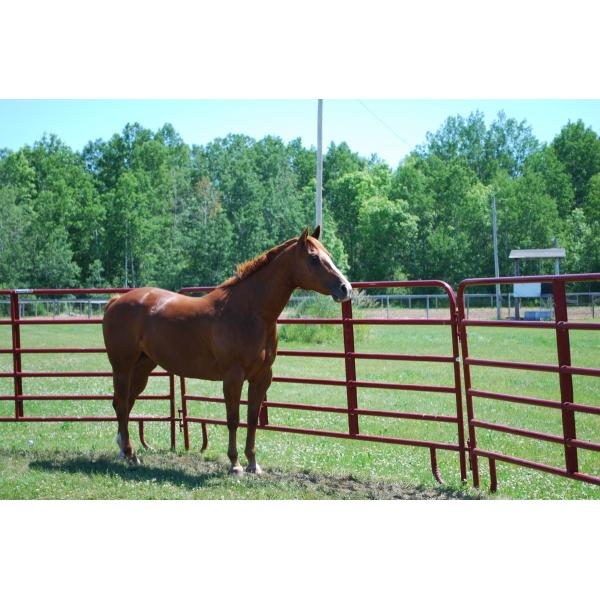 Portable Corral Fence Galvanized Cattle Yard Horse Fence Panel Livestock Panels