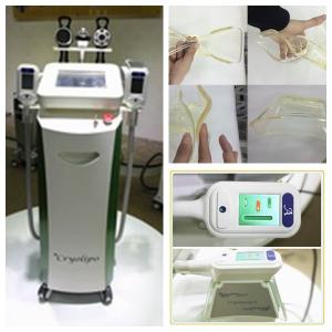 Wholesale Body Shape Coolsculpting cryolipolysis body slimming machine with zeltic technology from china suppliers