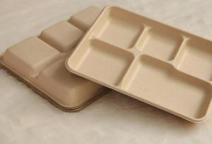 Wholesale 5 compartments Biodegradable Straw pulp food containers paper food trays from china suppliers