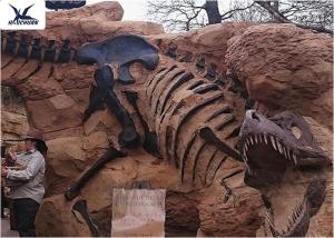 Wholesale Handmade Museum Dinosaur Skeleton Replica For Outdoor Decoration Warranty 1 Year from china suppliers