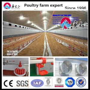 Wholesale OEM Standard Poultry House Steel Structure With Sliding Windows from china suppliers
