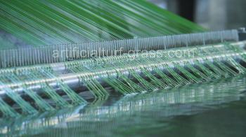 All Victory Grass (Guangzhou) Co., Ltd