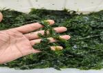 Natural Green Seaweed Powder Crushed Seaweed Powder as Baking Ingredients 50g