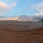 Reasonable Cost Plastic Film Greenhouse 0.12mm-0.2mm Thickness