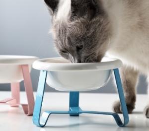 Wholesale Round Anti Slip 15.5*7cm Pet Food Feeder from china suppliers