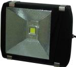 High Power Waterproof Advertising Signs Epistar Led Flood Light Fixtures 100W /