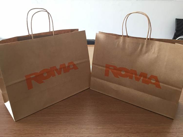 Custom Logo Card Boardpaper Bag For Clothing Shopping
